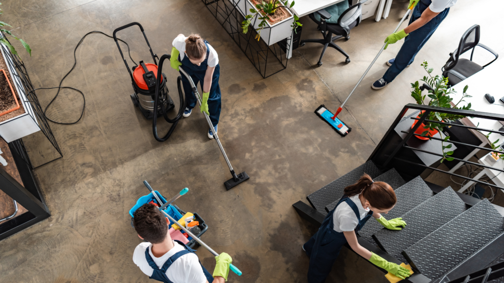 Räumbär-Reinigungsservice bei der professionellen Wohnungsreinigung